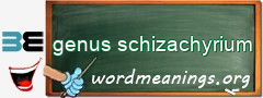 WordMeaning blackboard for genus schizachyrium